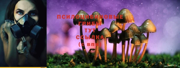 гидропоника Горняк