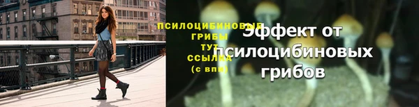 твердый Горно-Алтайск