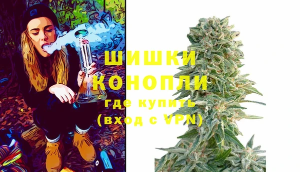 гидропоника Горняк