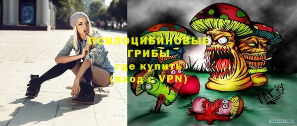 СК Горнозаводск