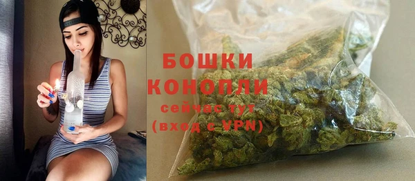 гидропоника Горняк