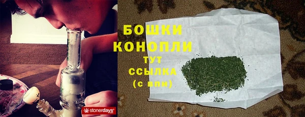 СК Горнозаводск